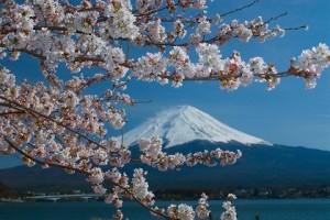 0515富士山