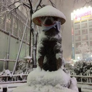 雪の中のハチ公