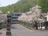 小樽商科大学写真
